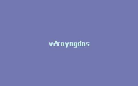 v2rayngdns-v2rayng