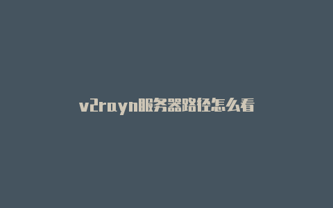 v2rayn服务器路径怎么看-v2rayng