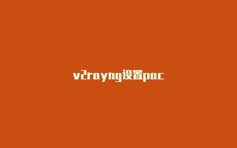 v2rayng设置pac-v2rayng