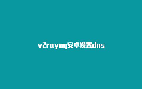 v2rayng安卓设置dns-v2rayng