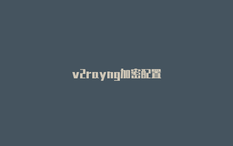 v2rayng加密配置-v2rayng