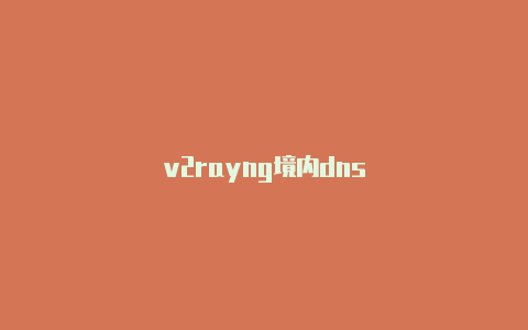 v2rayng境内dns-v2rayng