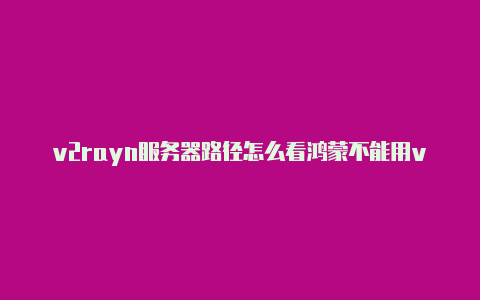 v2rayn服务器路径怎么看鸿蒙不能用v2rayng-v2rayng