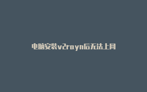 电脑安装v2rayn后无法上网-v2rayng