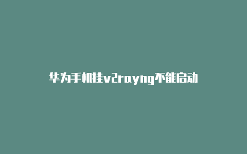 华为手机挂v2rayng不能启动-v2rayng