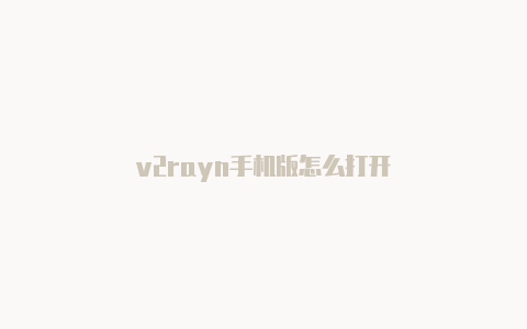 v2rayn手机版怎么打开