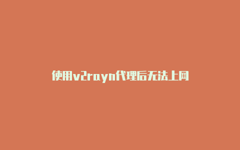 使用v2rayn代理后无法上网