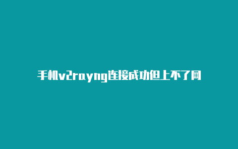 手机v2rayng连接成功但上不了网