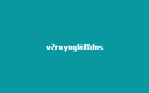 v2rayng远程dns-v2rayng