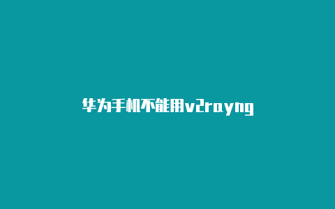 华为手机不能用v2rayng-v2rayng