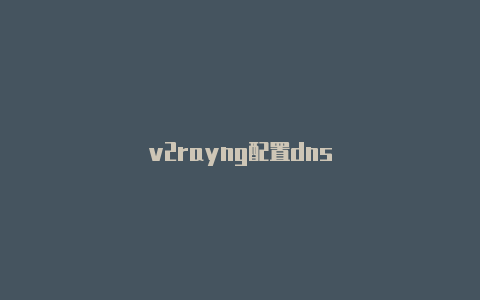 v2rayng配置dns-v2rayng