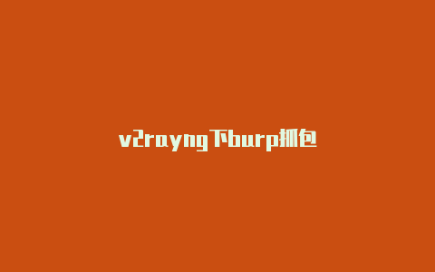 v2rayng下burp抓包-v2rayng