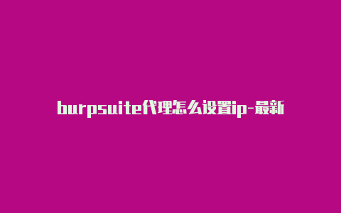 burpsuite代理怎么设置ip-最新免费http代理ip天天更新-v2rayng