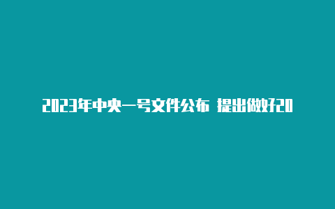 2023年中央一号文件公布 提出做好2023年全面推进乡村振兴重点工作_新华网【v2rayng怎么设置仅代理境外流量】