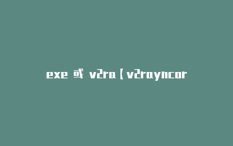 exe 或 v2ra【v2rayncore如何填写】