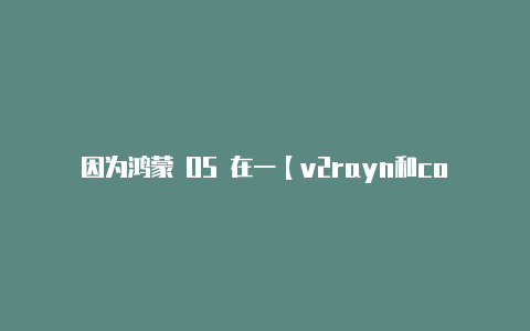 因为鸿蒙 OS 在一【v2rayn和core有什么区别】