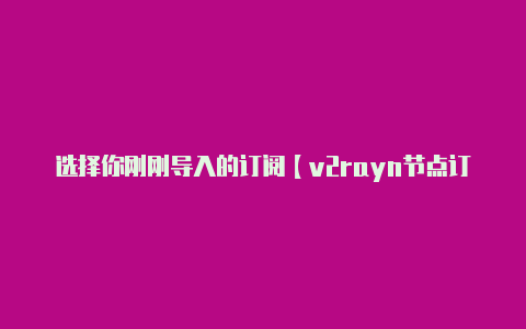 选择你刚刚导入的订阅【v2rayn节点订阅地址】