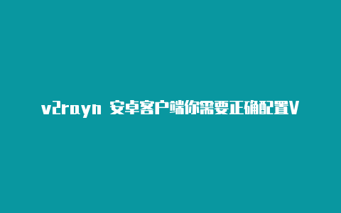 v2rayn 安卓客户端你需要正确配置V2R